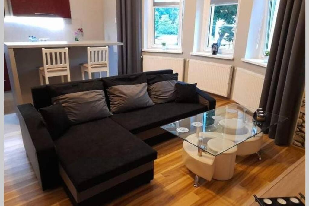Mieszkanie Z Widokiem Na Park -Cieplice Slaskie Zdroj Apartment Jelenia Gora Exterior photo