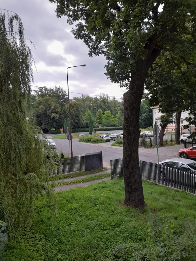 Mieszkanie Z Widokiem Na Park -Cieplice Slaskie Zdroj Apartment Jelenia Gora Exterior photo