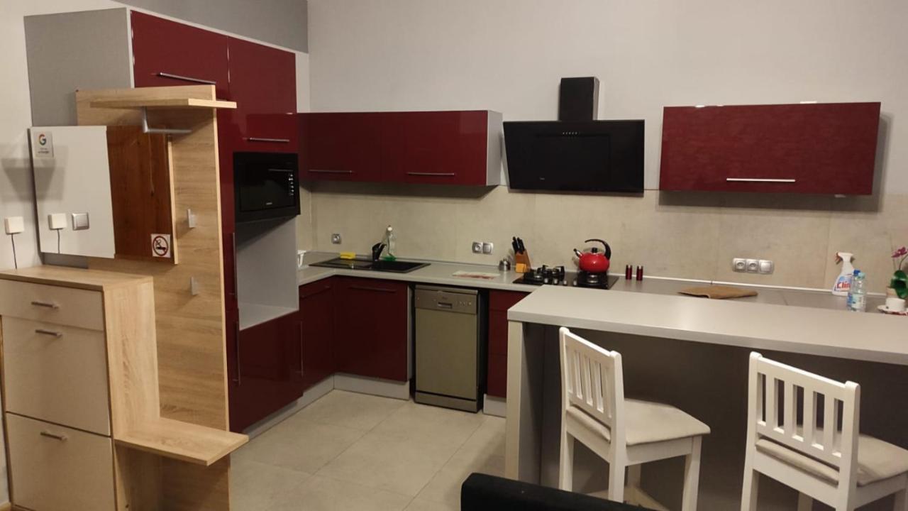 Mieszkanie Z Widokiem Na Park -Cieplice Slaskie Zdroj Apartment Jelenia Gora Exterior photo
